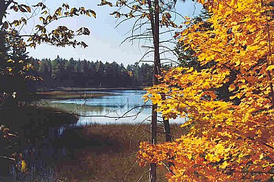 Autumn in the Park