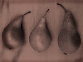 Pears on silk