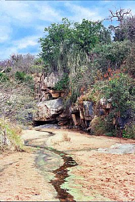 Stream of Hope