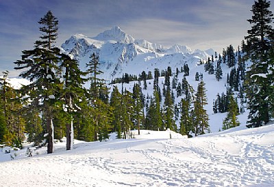 Tracks through the Snow