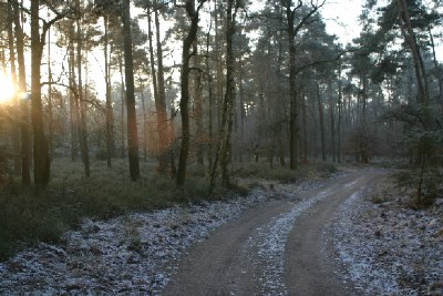 Freezing