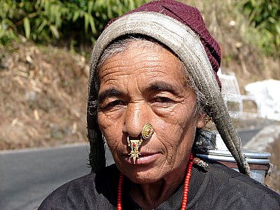 The Himalayan Lady