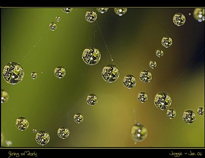 String of Pearls