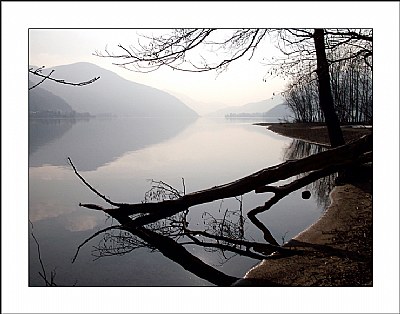 Quiet Morning at Lake 2