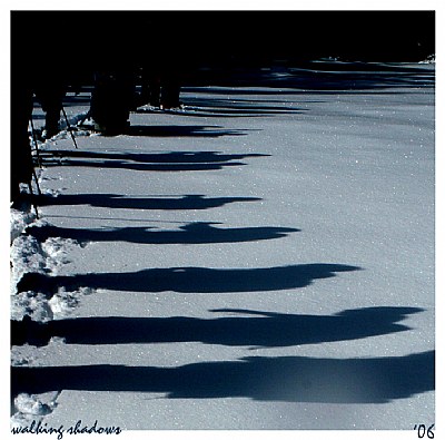-walking shadows-