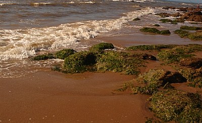 Rocks & Sea