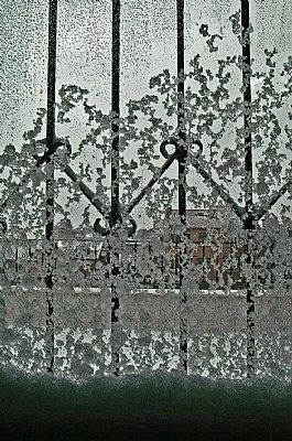 window