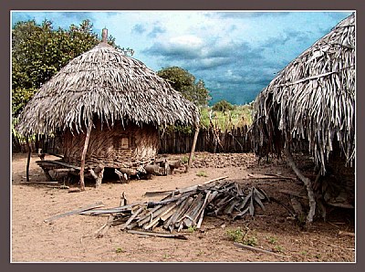 houses in a village