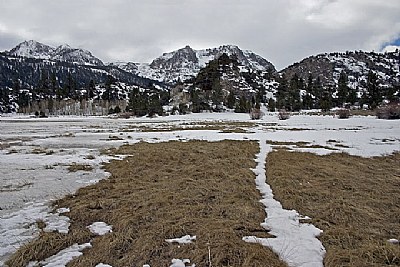 Winter Marsh