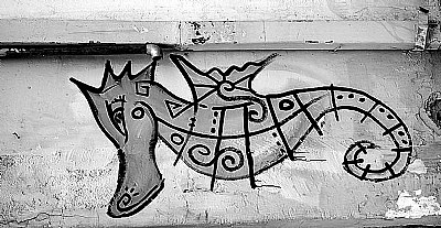 dragon on the wall...