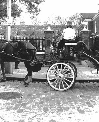 carriage driver blues