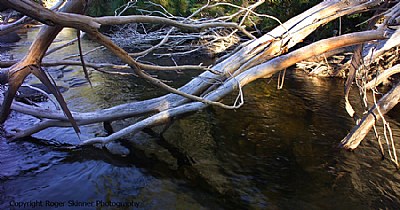  Victims, Stranded