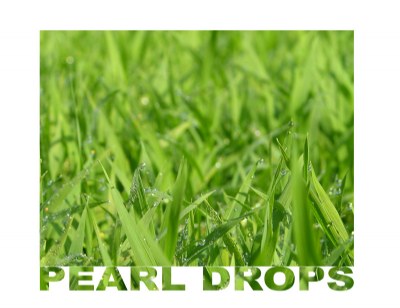 pearl drops