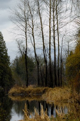 Camp River Slough 5