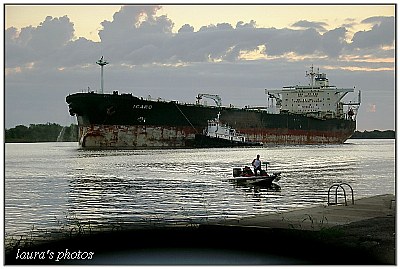 Early Morning on the river