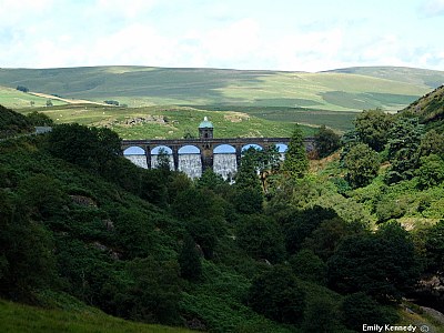 Hillside Charm