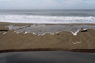 Davenport Beach #1