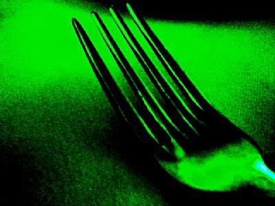 THE FORK SERIES 3