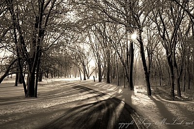 ~Silent Winter 02~