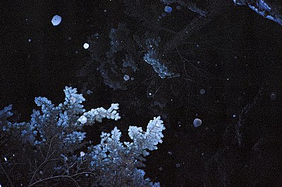 Snow.