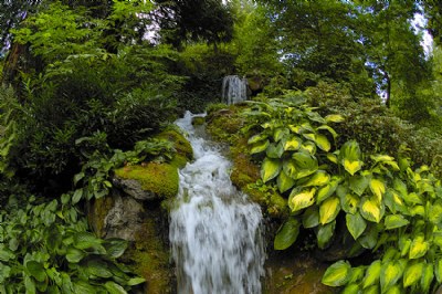 Waterfall Feature