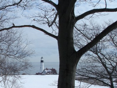 Coastal Views