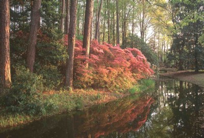 Callaway Gardens, GA