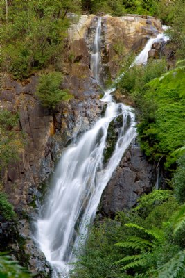 Steavenson's Falls