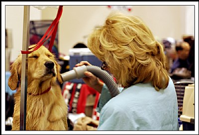 Grooming Time