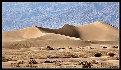 american dunes