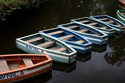 Colored Boats