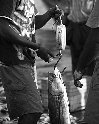 Tangalla fish market