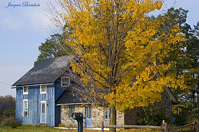 Country house