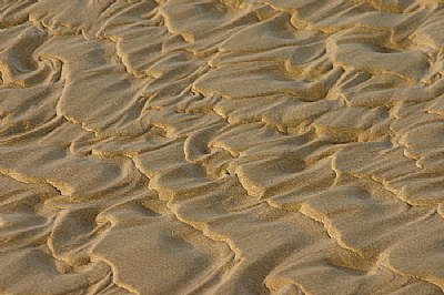 Sand Ripples.