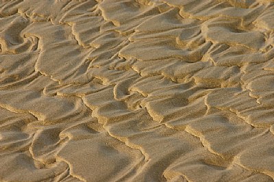 Sand Ripples.