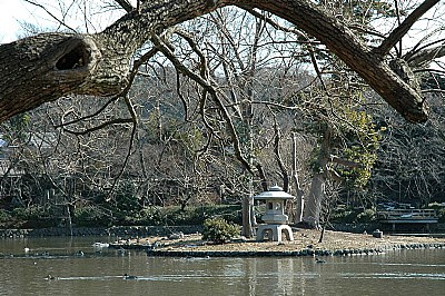 Island in the Pond