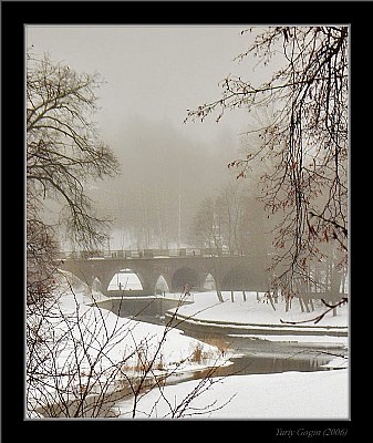 Winter park fog