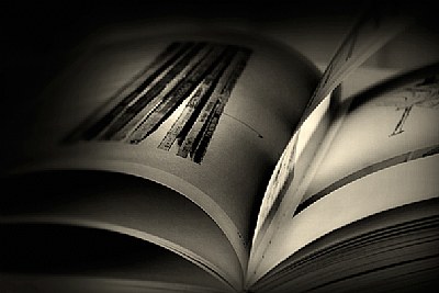 Pages