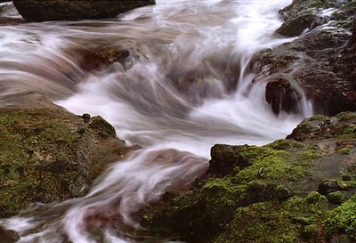 The Space Between Waters