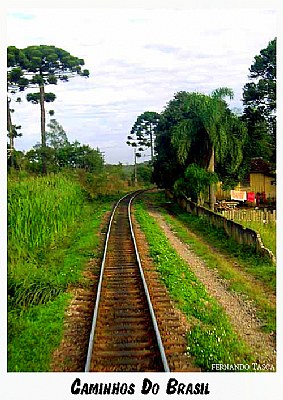 Caminhos 