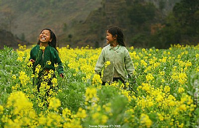 Girls in the flower field