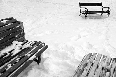 Benches II