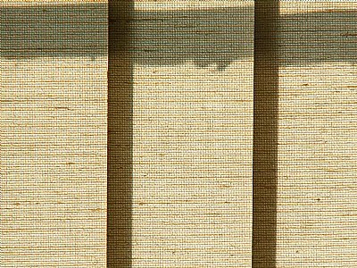 BLinds and Shadows