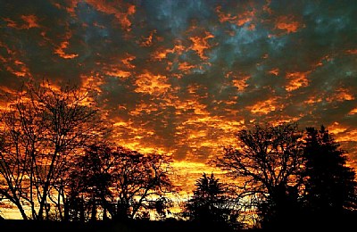 February Sunrise