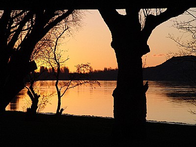 Siluetas de la tarde I