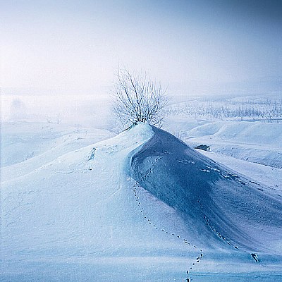 Trails on the snowy desert