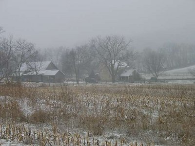 Misty Morning - Whistling Hill Farm, Maryland