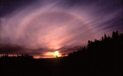 SUNSET RAINBOW