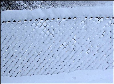 Snow covered fence.