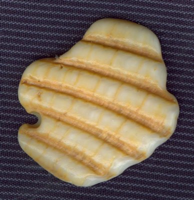 Rippled Shell Fragment